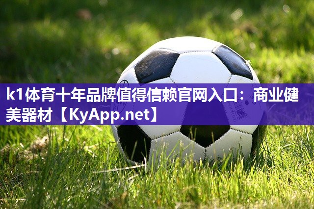 k1体育十年品牌值得信赖官网入口：商业健美器材