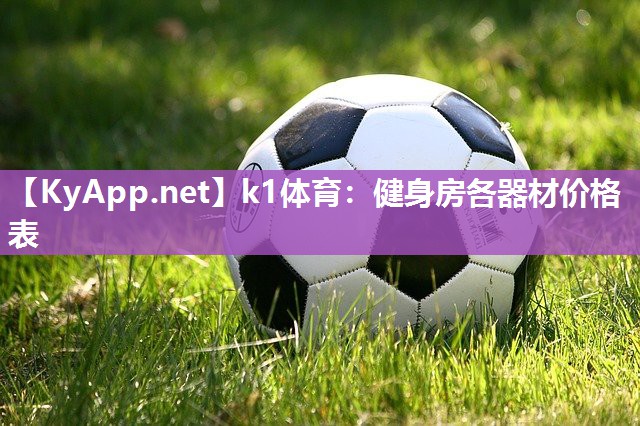 k1体育：健身房各器材价格表